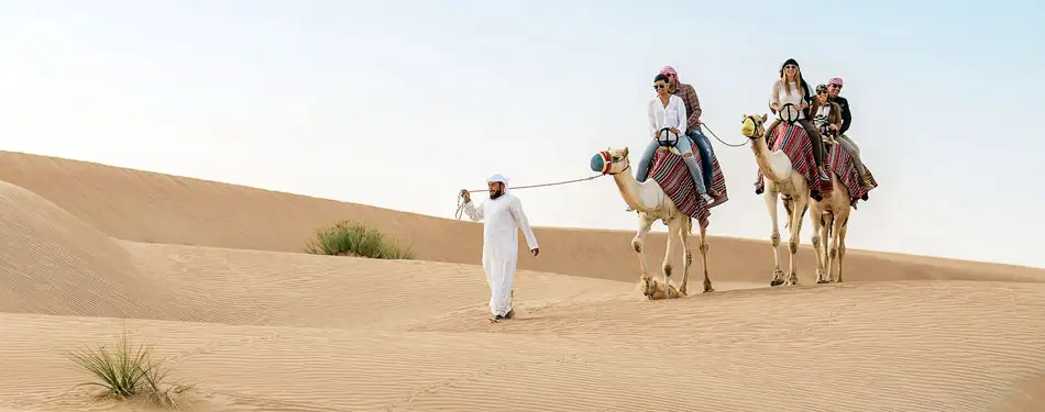 Camel Safari – A Must-Do Experience in Dubai's Desert
