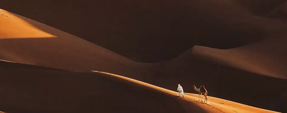 Photography Tips for Evening Desert Safari