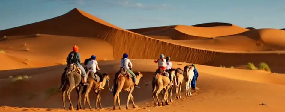 Photography Tips for Evening Desert Safari