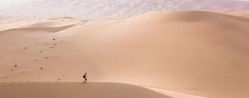 Photography Tips for Evening Desert Safari