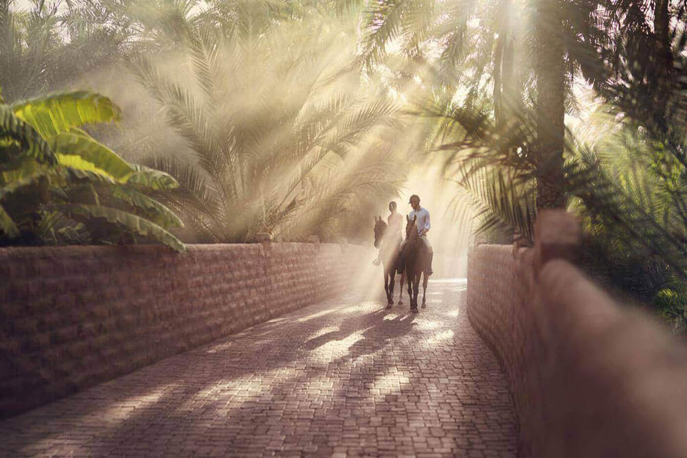 al ain city tour from dubai