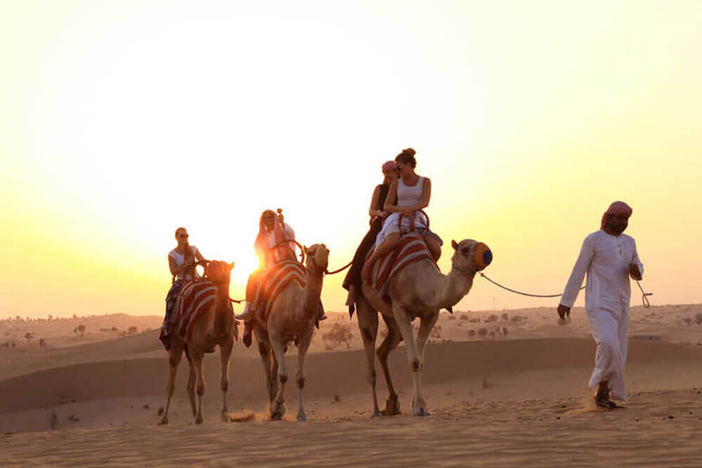 camel trekking dubai