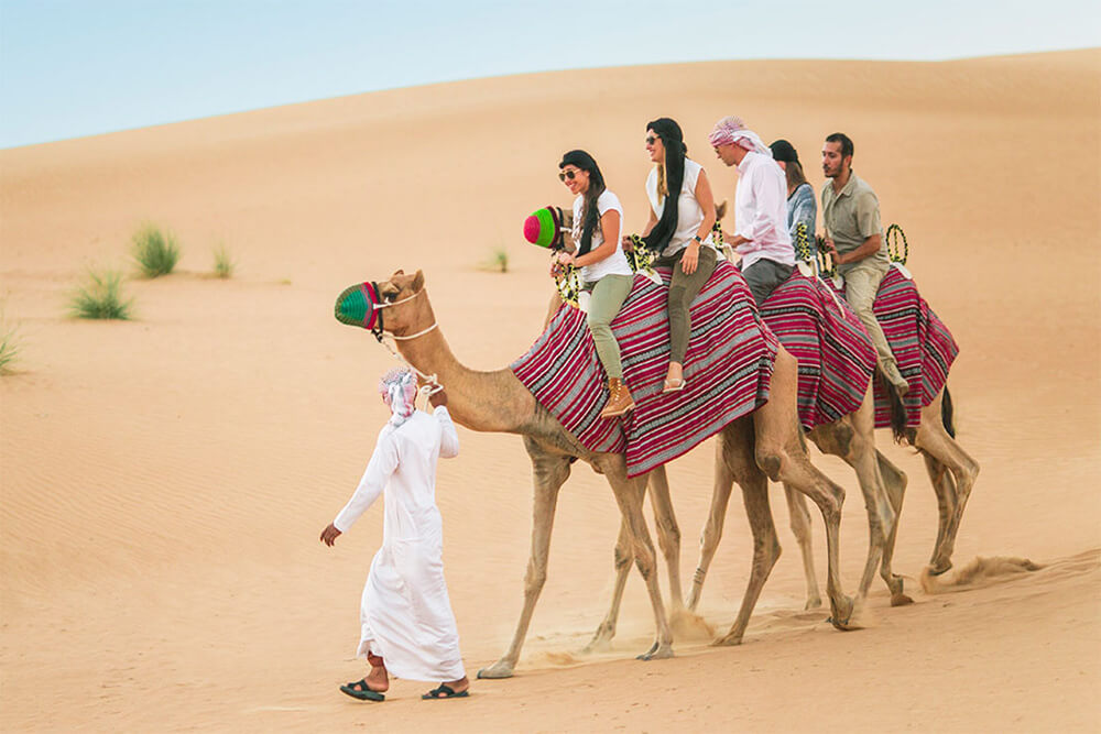 camel trekking dubai