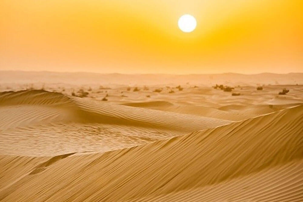 overnight desert safari dubai
